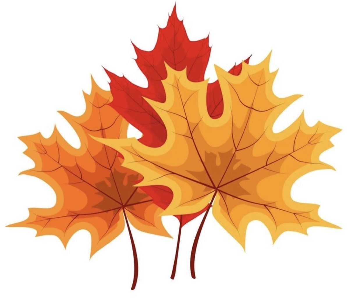Herbstbasteln Wiescheid 2026