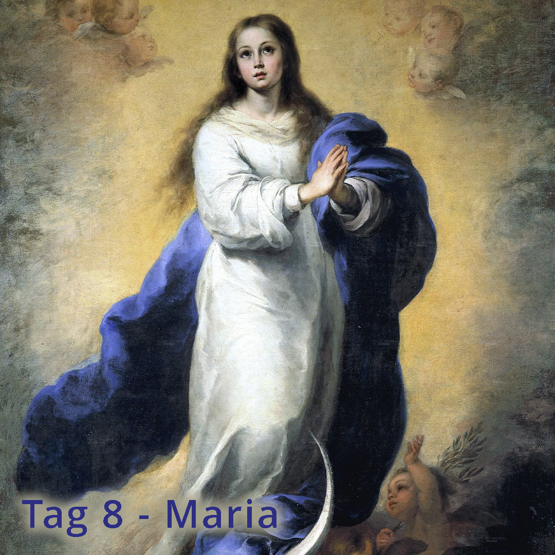 Tag 08