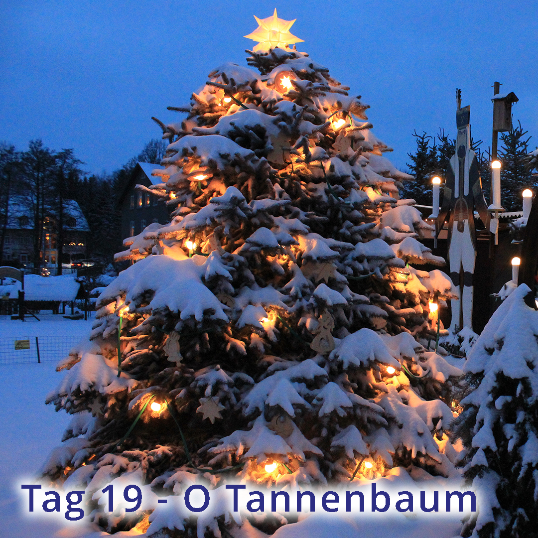 Tag 19