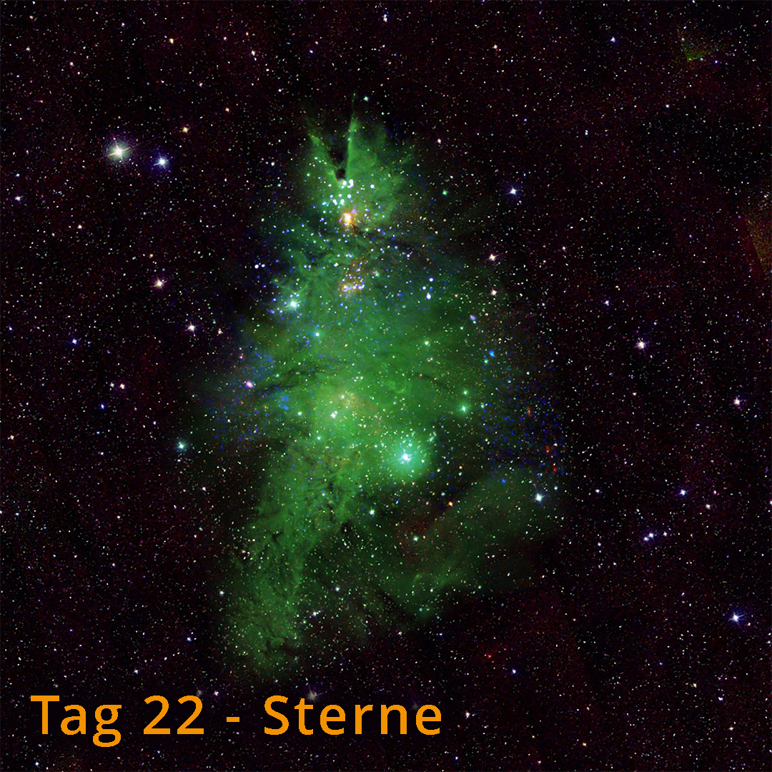 Tag 22