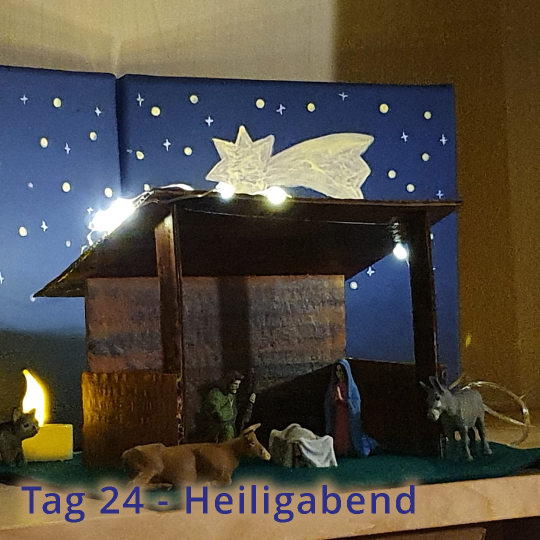 Tag 24