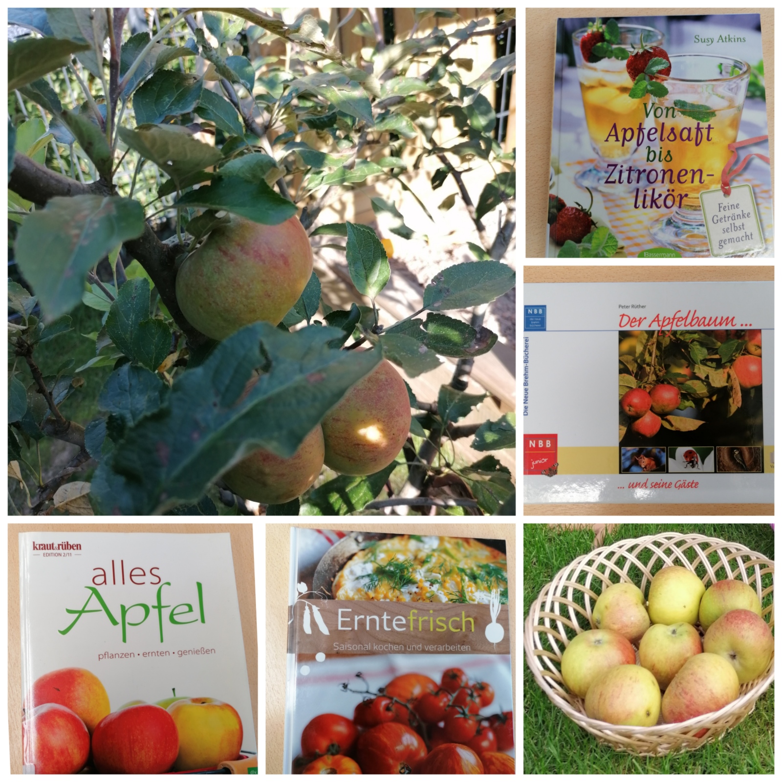 CollageMaker_20210914_095325157